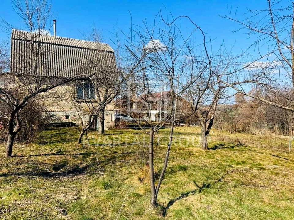 Будинок. Буча, ВИНОГРАДНА