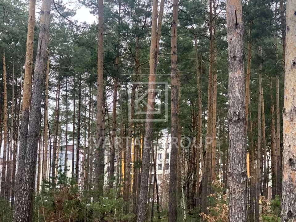 Будинок. Буча, Центральна вул.