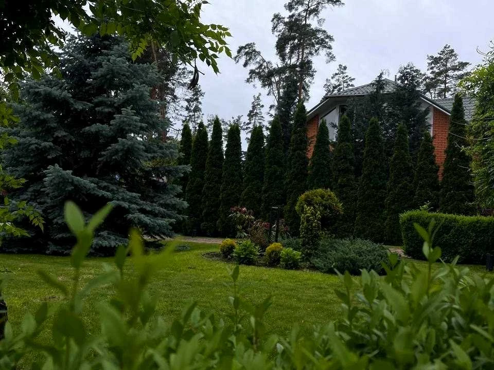 Будинок. Буча, Шевченка вул.