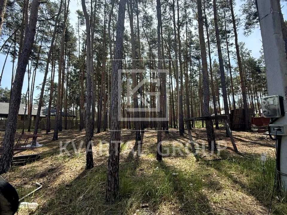 Будинок. Буча, Валерія Марченка