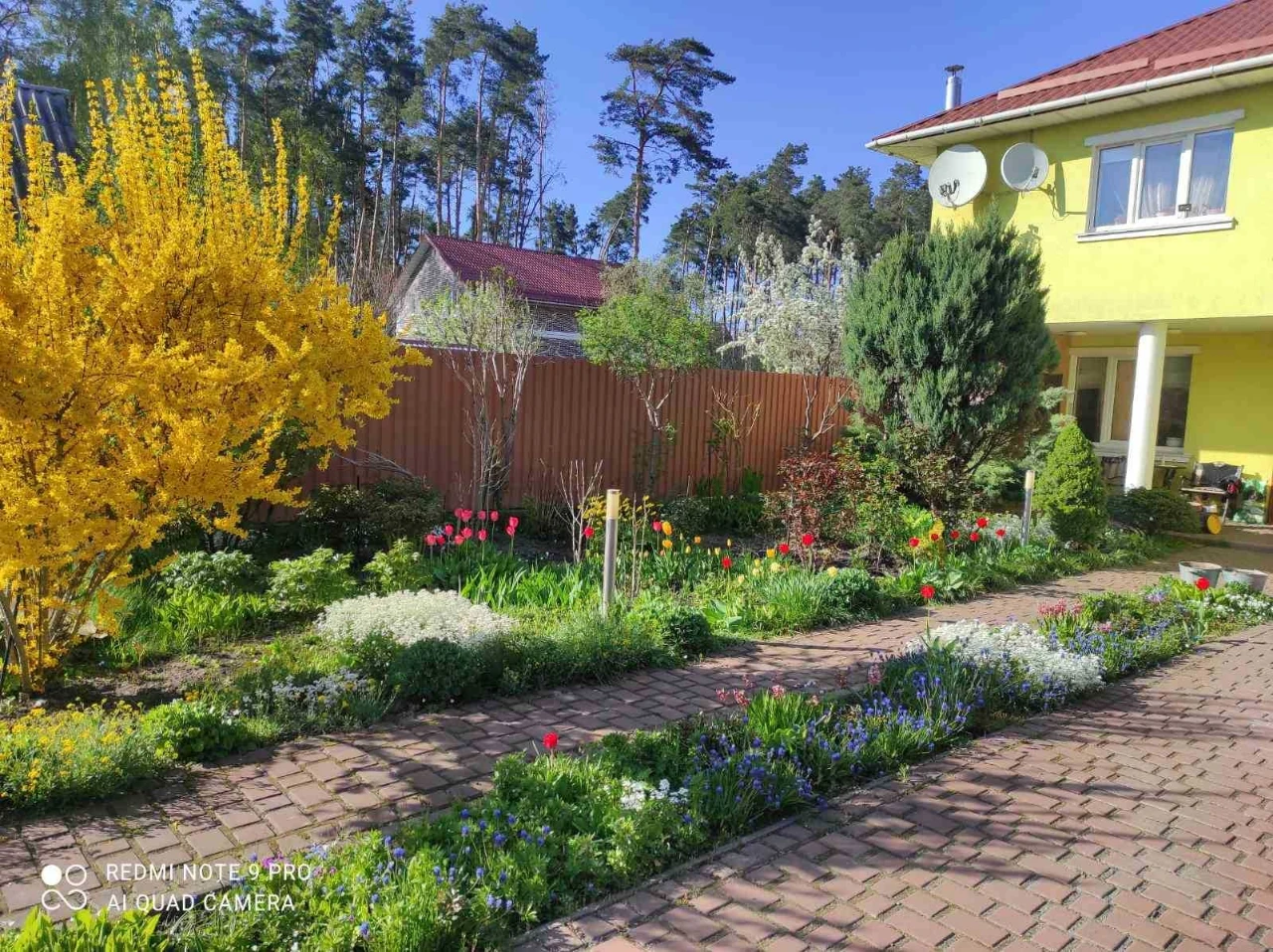 Продається будинок 240 кв.м., Лісова Буча