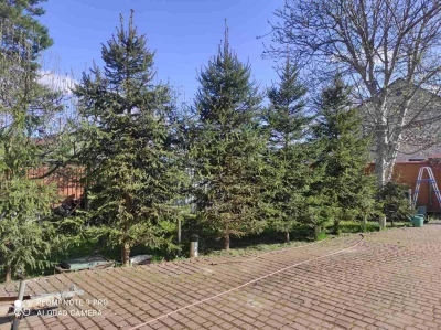 Продається будинок 240 кв.м., Лісова Буча