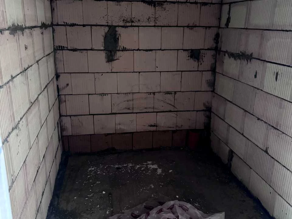 Будинок. Буча, Сергія Мазіна