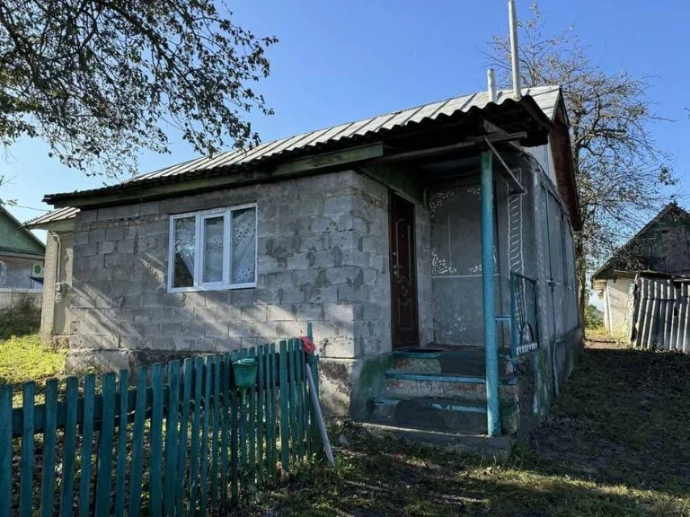 Будинок біля Красилова с.Дружнє