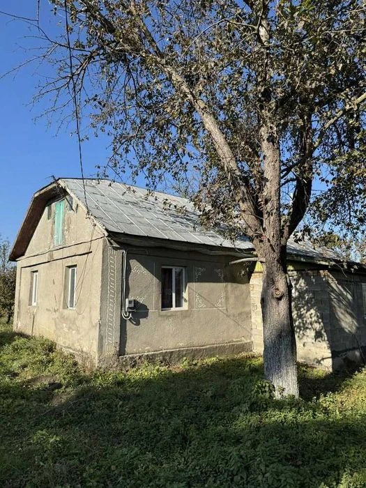 Будинок біля Красилова с.Дружнє