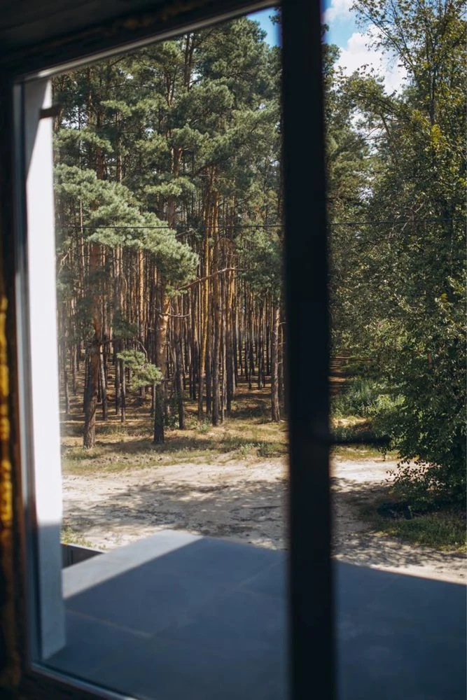 Стиль МОДЕРН. Якість ТОП. Вид на ЛІС