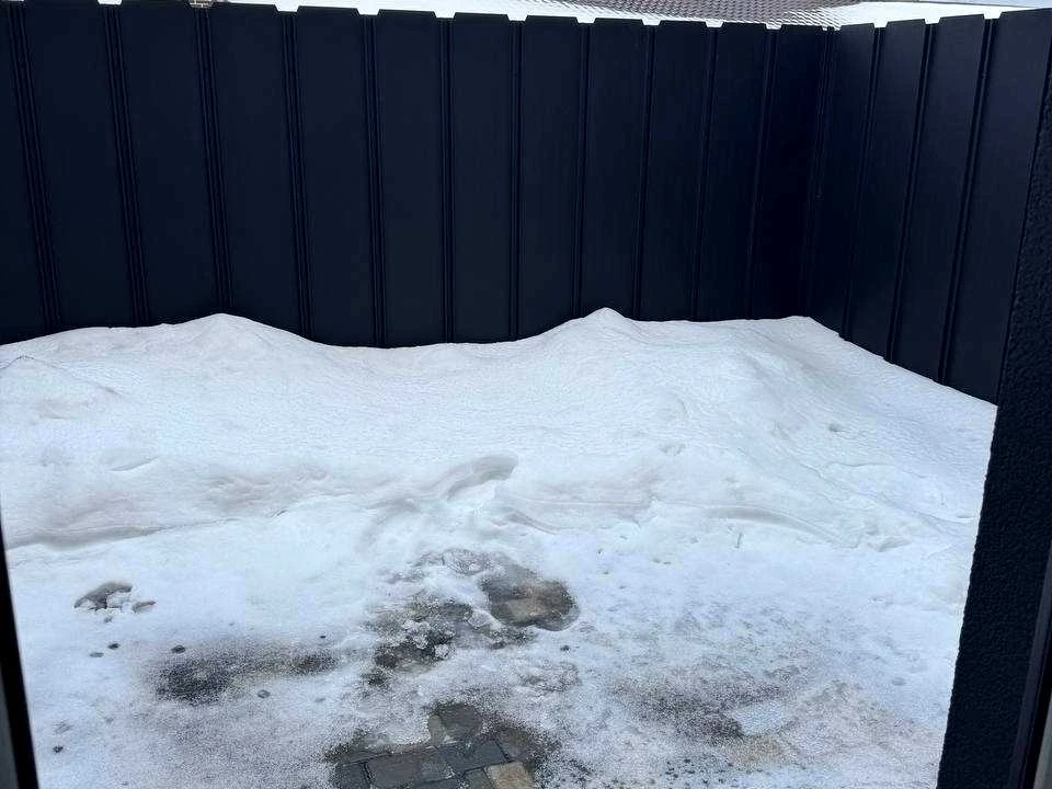 Будинок. Буча, Сергія Мазіна