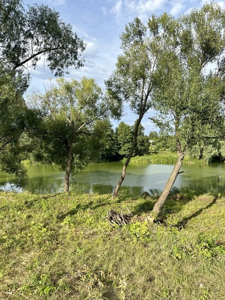 Продаж просторого та ЯКІСНОГО будинку на березі озера. ШИКАР