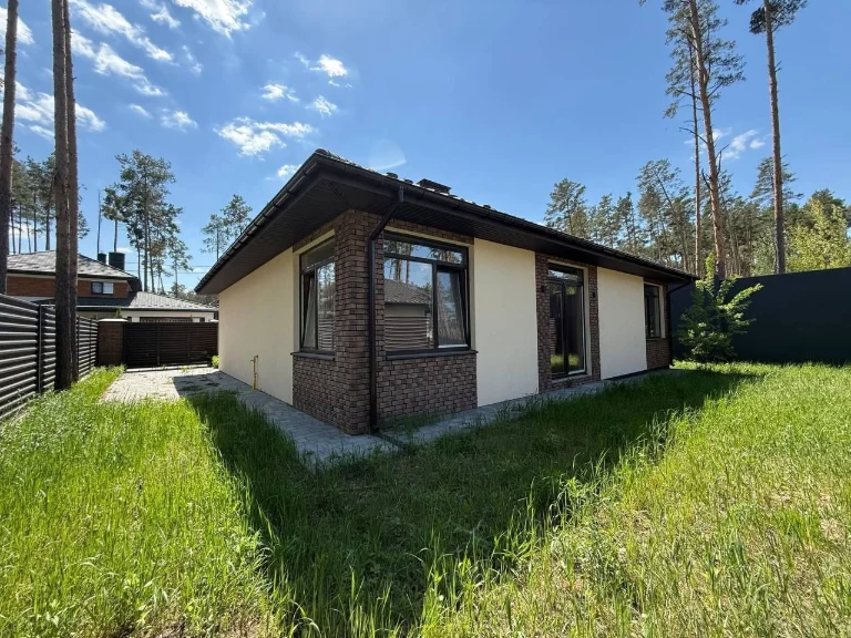 Продаж цегляного будинку 125м2 у Лісовій Бучі, 4.7 сотки, га