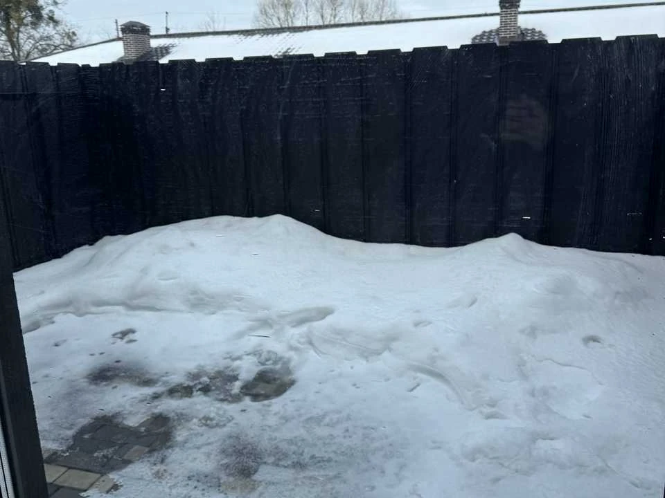 Будинок. Буча, Сергія Мазіна