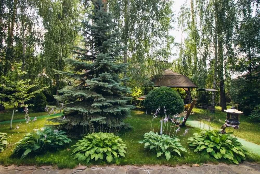 Без комісії Продаж БУДИНКУ в Лісовій Бучі 294 м2 на 12ти сот