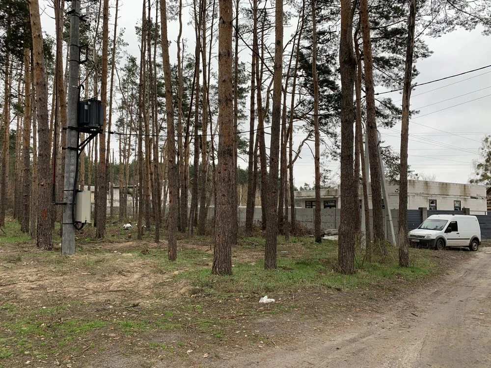 Будинок з великою ділянкою біля лісу Прорізна Буча
