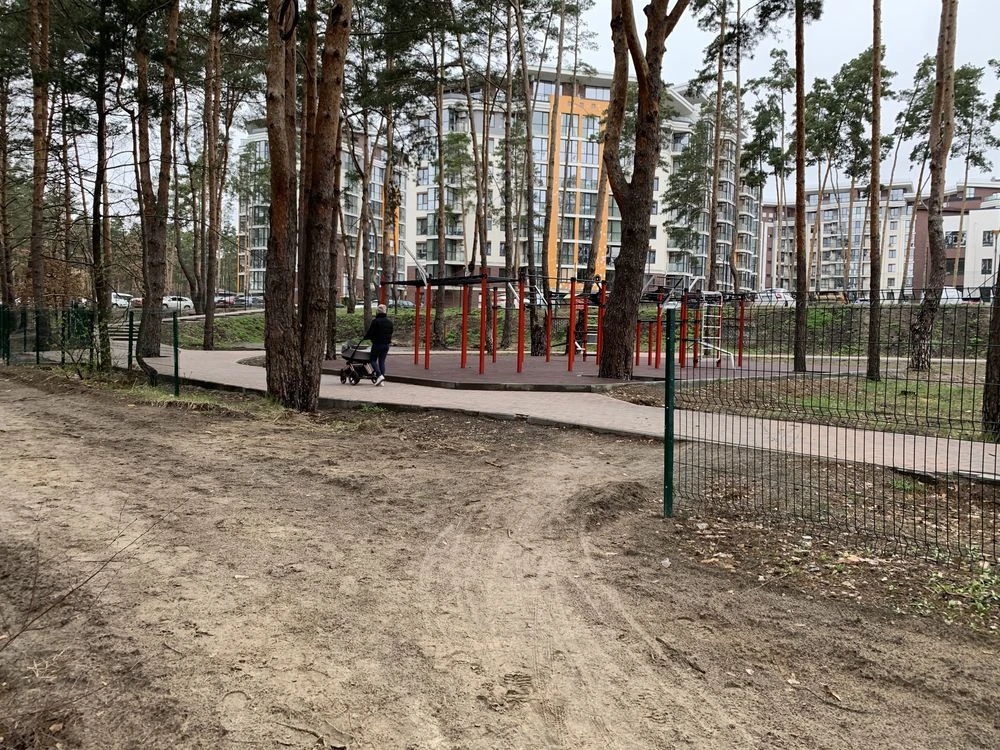 Будинок з великою ділянкою біля лісу Прорізна Буча