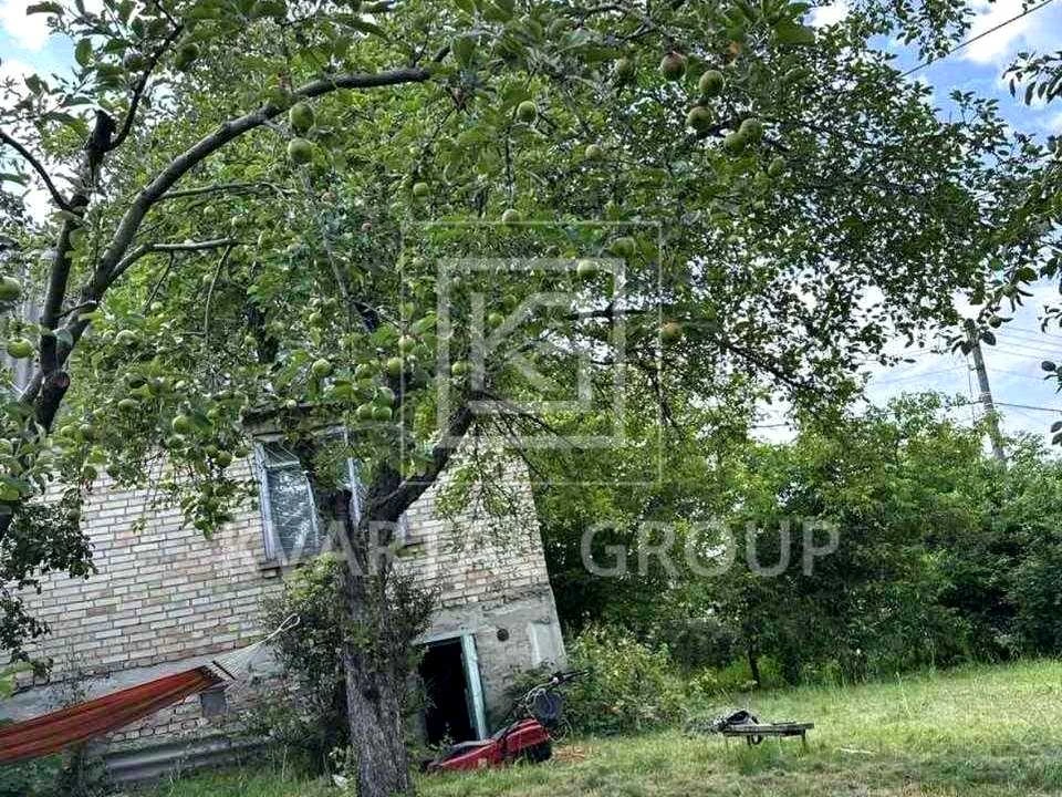 Будинок. Буча, Виноградна