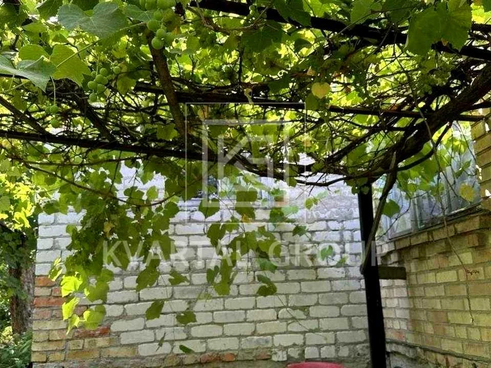 Будинок. Буча, Виноградна