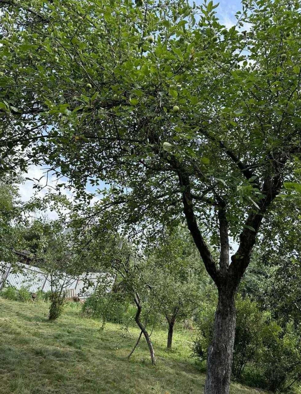 БЕЗ КОМІСІЇ, дача 60м2 на ділянці 7,5 соток, Буча, вул. Вино