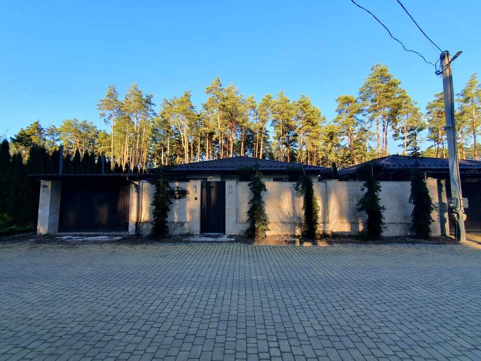 Будинок. Буча, Провулок Гостомельський
