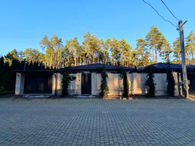 Будинок. Буча, Провулок Гостомельський