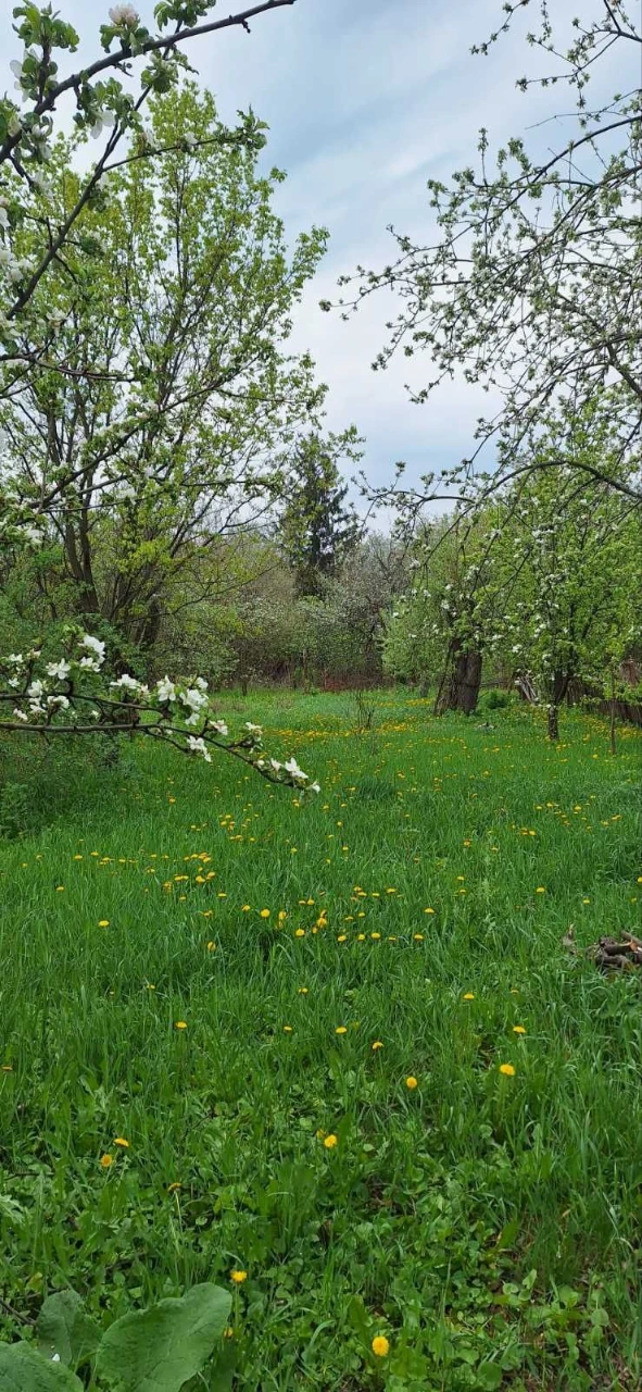 Продам дом 56м2 без ремонта на участке 20 сот земли  5500уе