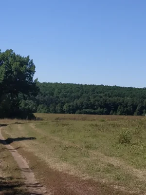 Продам дом в Люботине
