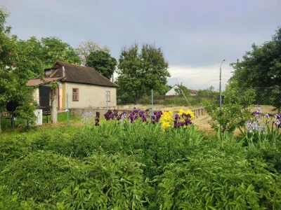 Продам житловий будинок у м. Березань, Київська область, Бер