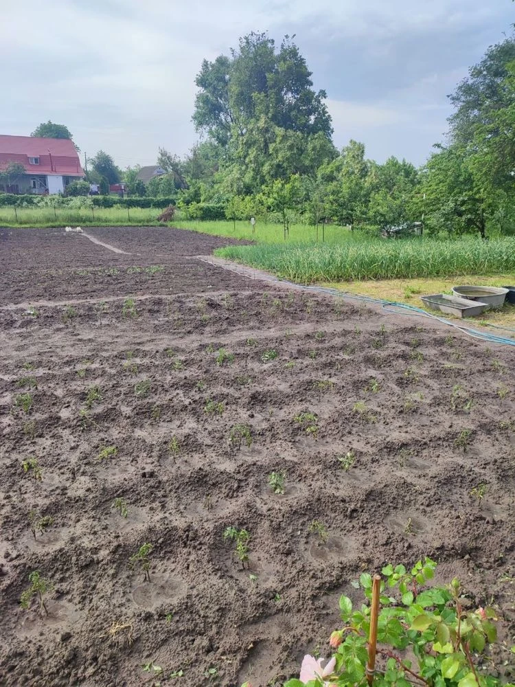 Продам житловий будинок у м. Березань, Київська область, Бер