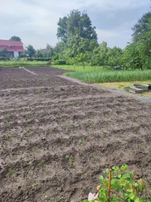 Продам житловий будинок у м. Березань, Київська область, Бер