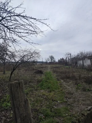 Хата, літня кухня, сараї, город