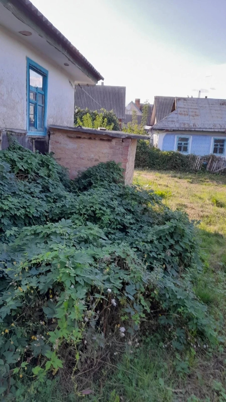 Продаю будинок в Ладижині