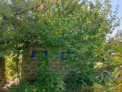 Продається дача ТОВ "Заріччя"