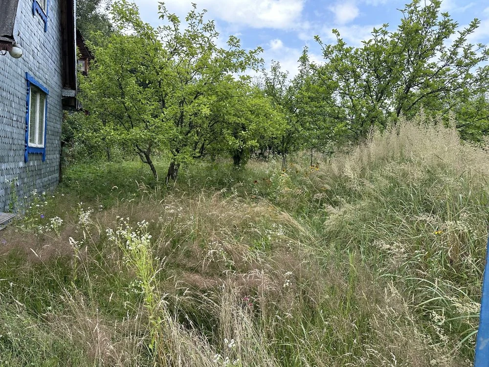 Продається дачний будинок і зем. ділянка поблизу  Моршина
