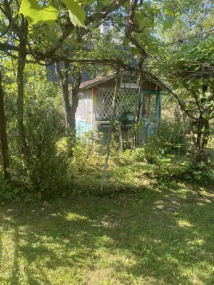 Продаж дачний будинок і прилегла земля