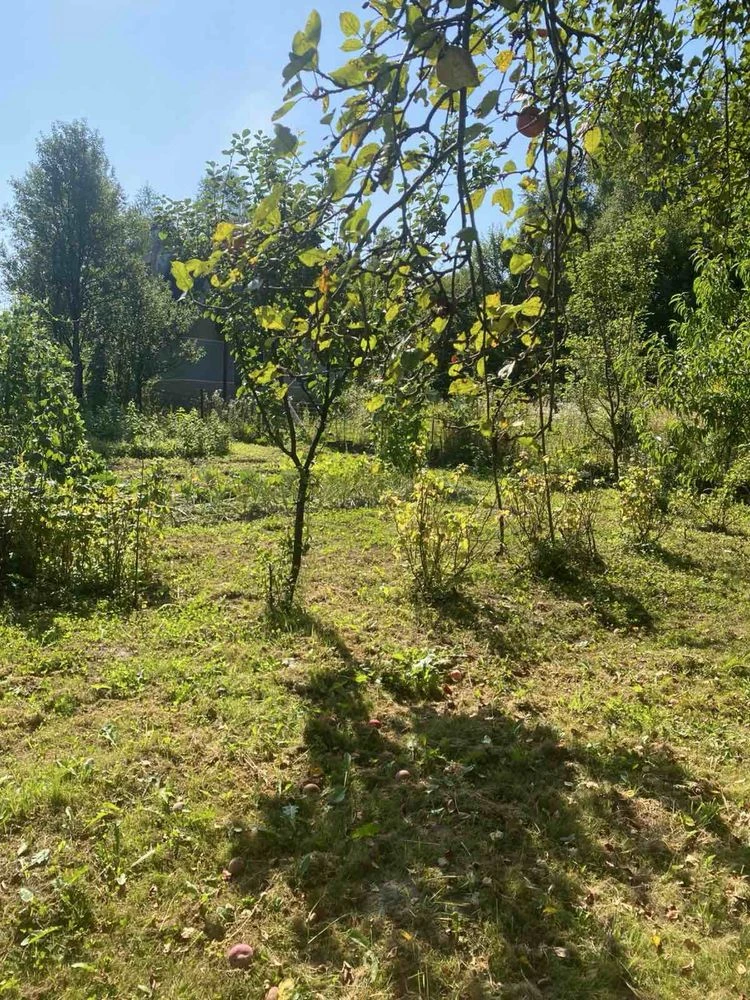 Продаж дачний будинок і прилегла земля