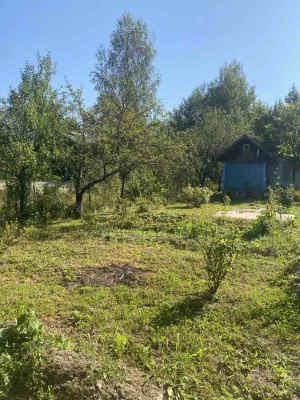 Продаж дачний будинок і прилегла земля