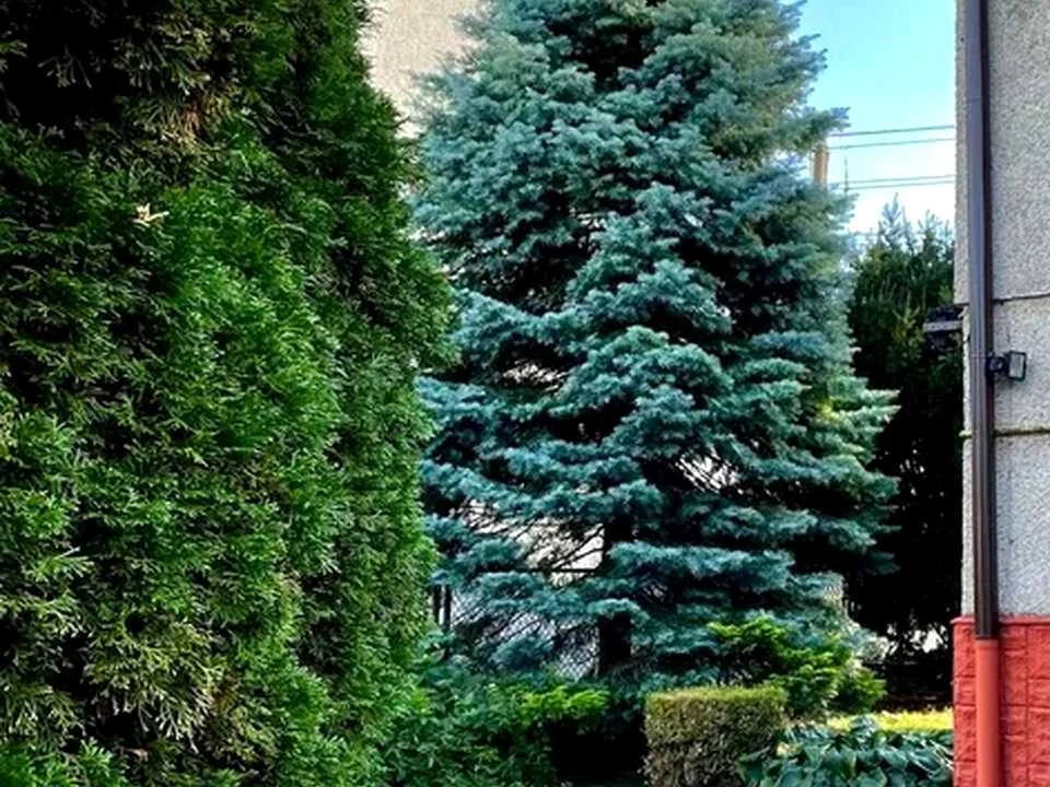 Будинок. Дубляни, Панаса Мирного вул.