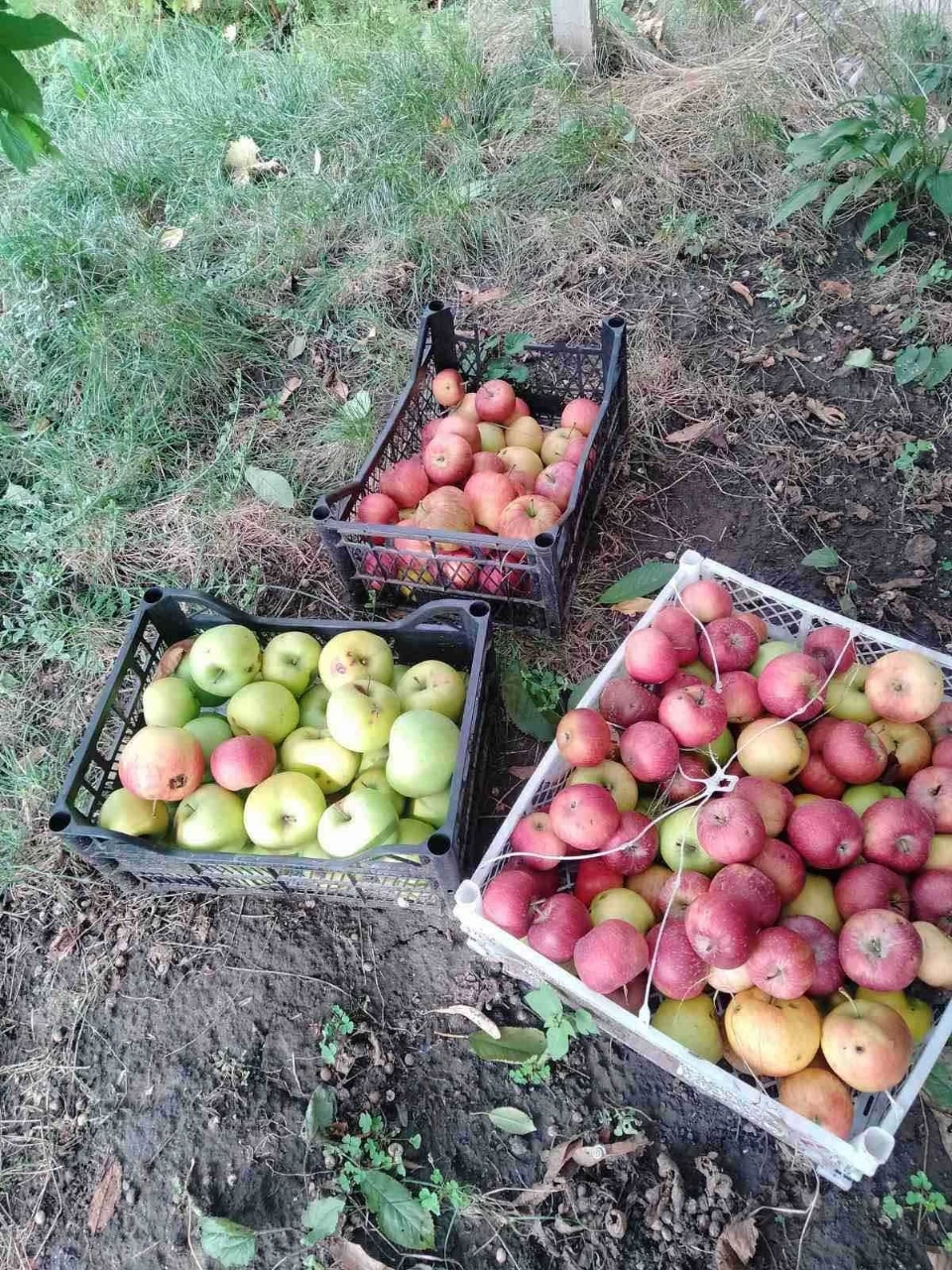 Продам будинок у місті