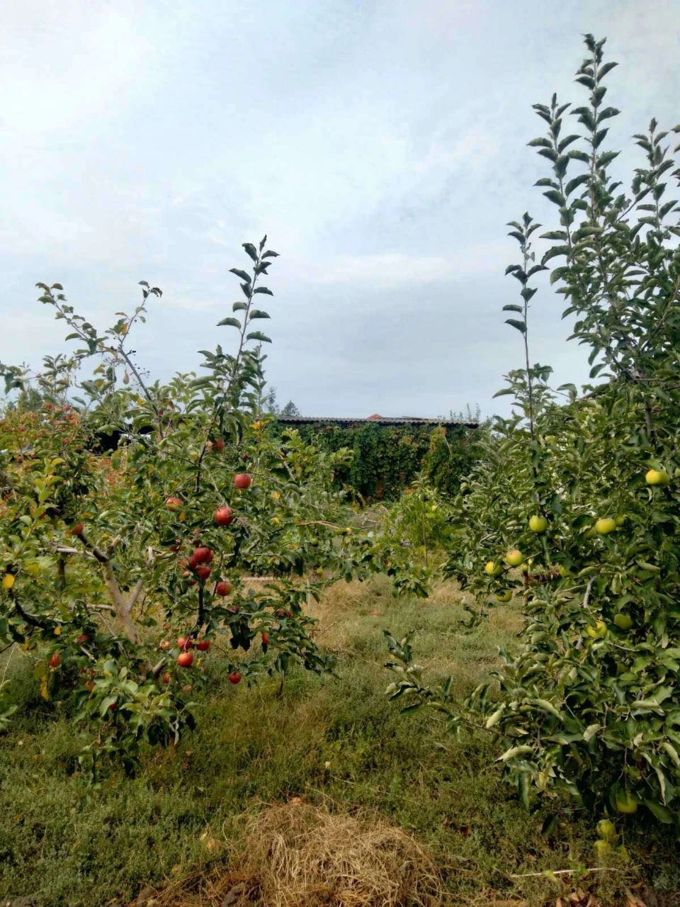 Продам будинок у місті