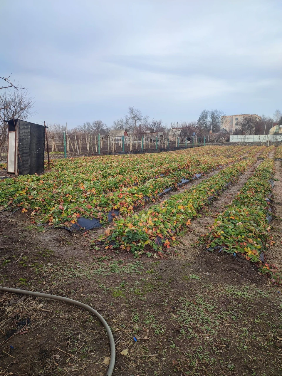 Продається дім  в городі біля пляжу під дачу.