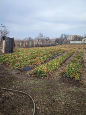 Продається дім  в городі біля пляжу під дачу.