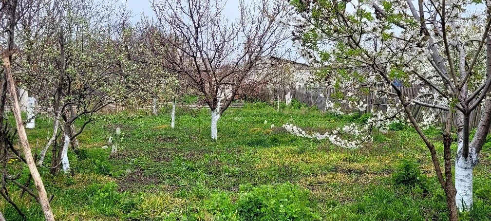 Присадибна ділянка зі старим будинком