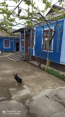 Продам каменный дом
