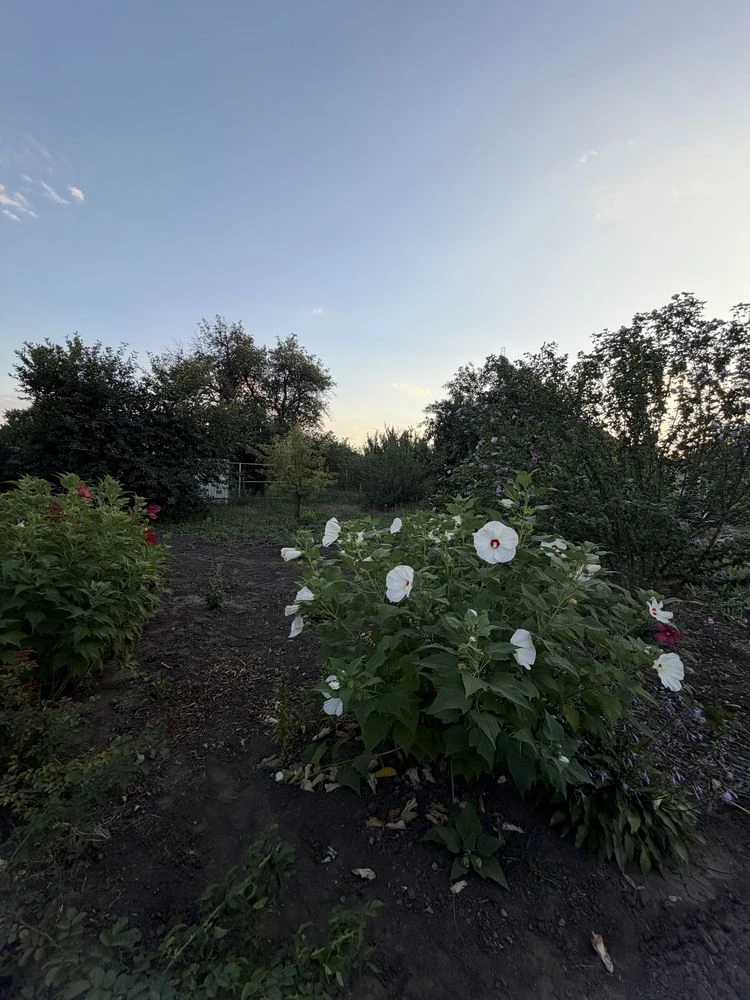 Продам жилой дом Верховцево