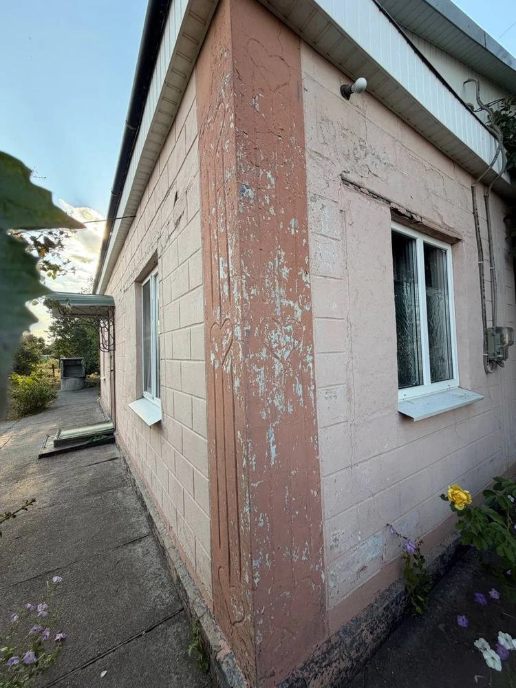 Продам дом с летней жилой кухней Верховцево Є-Відновлення