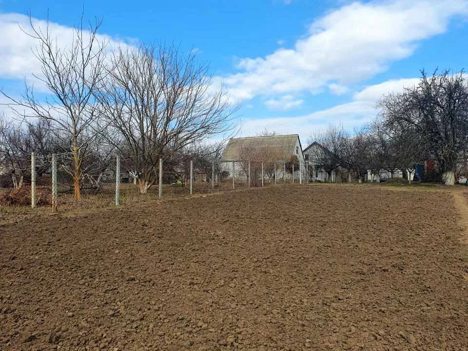Будинок. Підгородне, Волшебная