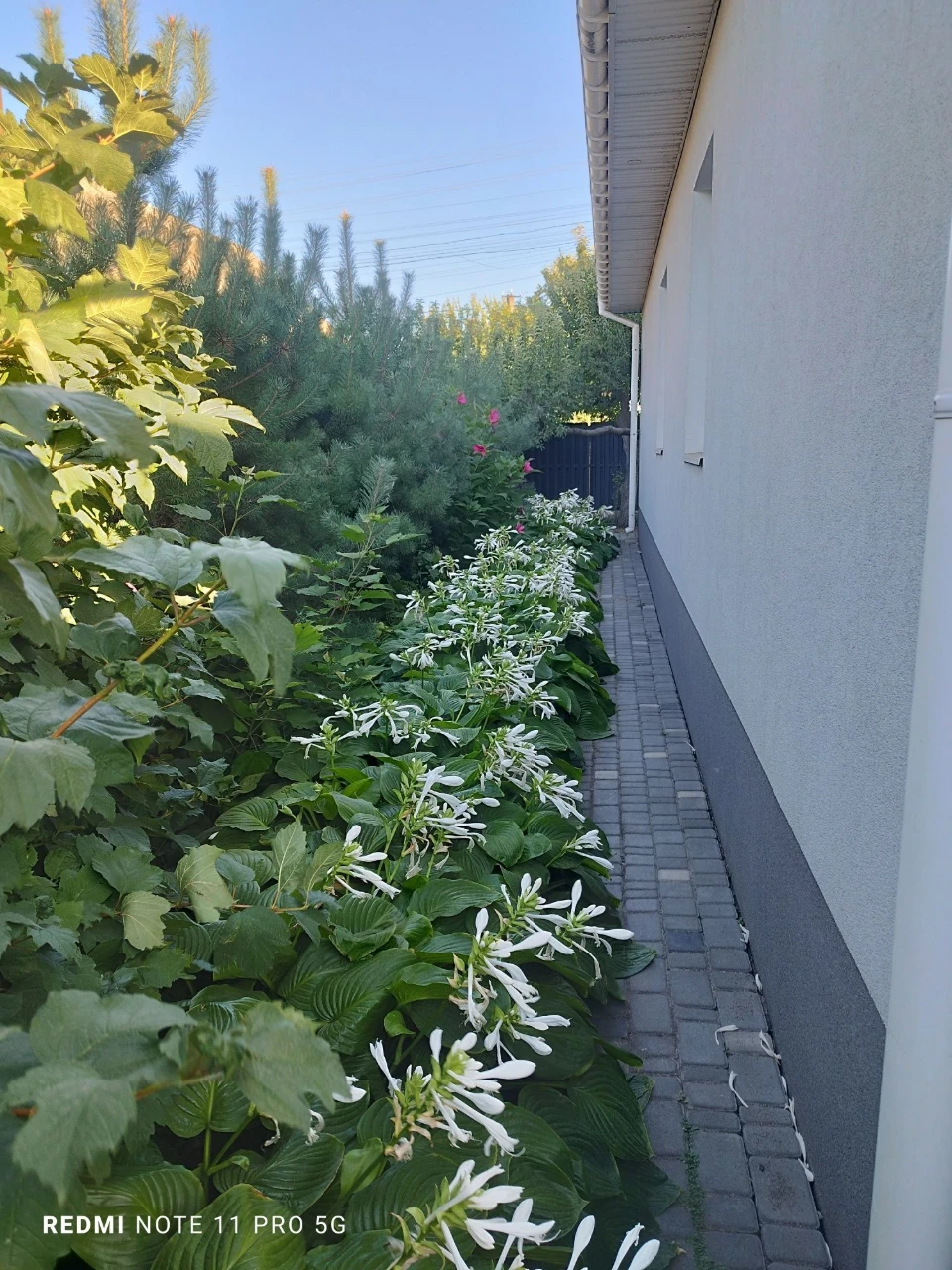 Продам дуже гарний будинок у Підгородному