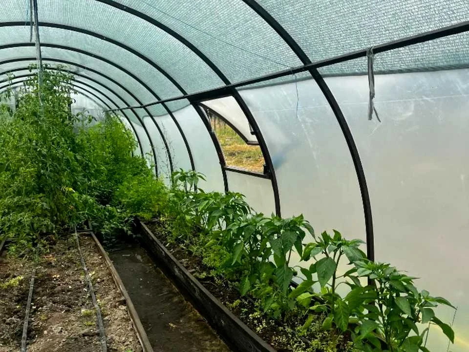 Будинок. Підгородне, Ульянова