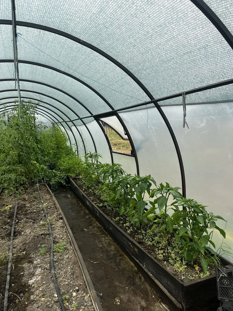 Продам хороший дом. Подгородное