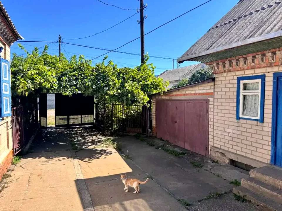 Будинок. Підгородне, Каштанова вул.