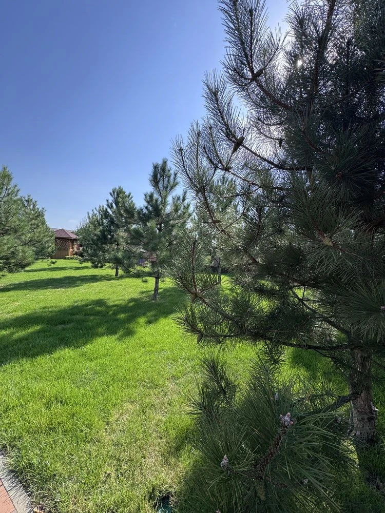 Продаж будунку Підгородне