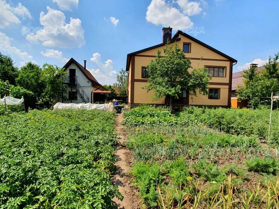 Будинок. Підгородне, Литвишко